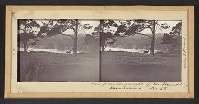 Vista do terreno do Sr. Freundt, Mendocino de Carleton Watkins