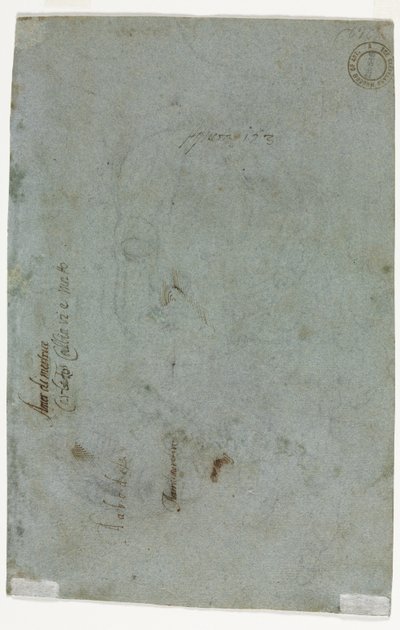 Esboço da cabeça de uma criança (verso) de Carletto Caliari