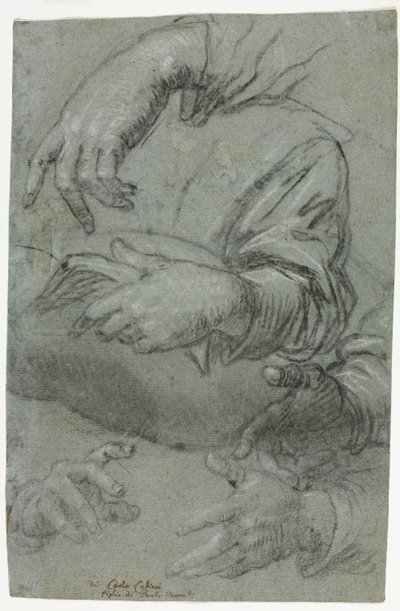 Estudos de Mãos Reto, Esboço da Cabeça de uma Criança verso, c. 1586. de Carletto Caliari