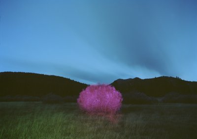 Pintura no escuro, 2015 de Carli Choi