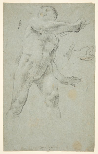 Nu Masculino de Carlo Bononi