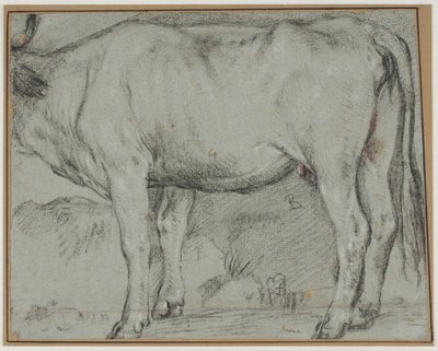Vaca em pé (falta de cabeça) de Carlo Caliari