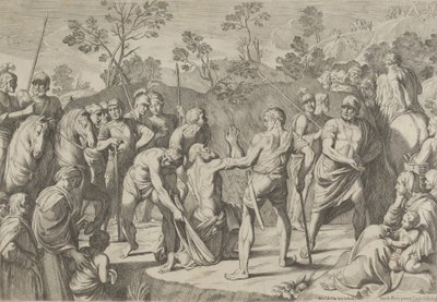 Floresta. de Carlo Cesi