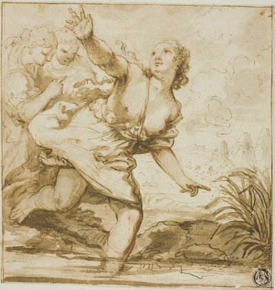 Mulher em voo de Carlo Cignani