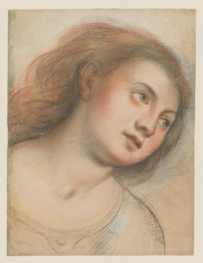 Estudo para Cabeça Feminina (verso); Cabeça de Cristo (reto) de Carlo Francesco Nuvolone