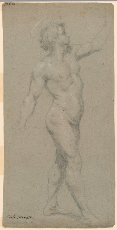 Estudos de um nu masculino de Carlo Maratti