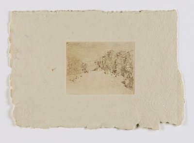 Paisagem de Connecticut (fm. portfolio) de Carlsen, Emil