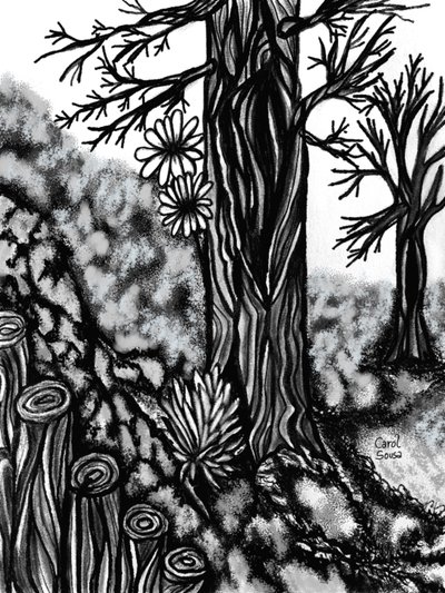 Desenho a carvão digital 1 de Carol Sousa Cuello