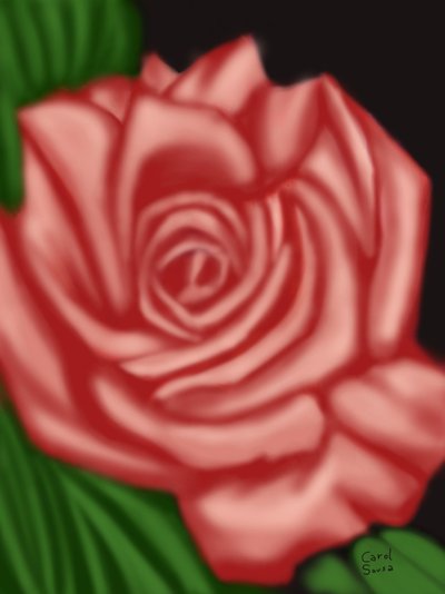 A memória de uma rosa de Carol Sousa Cuello