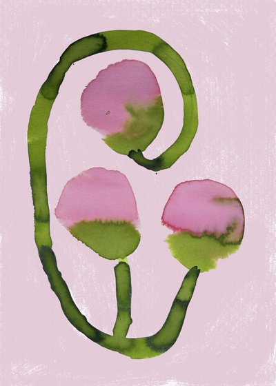 Flores cor-de-rosa abstratas de Carola Cedell