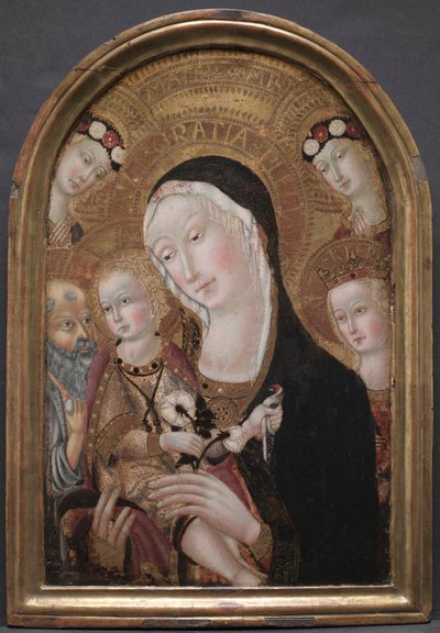 Virgem e Menino com São Jerônimo e Santa Catarina de Alexandria de Carolino da Viterbo