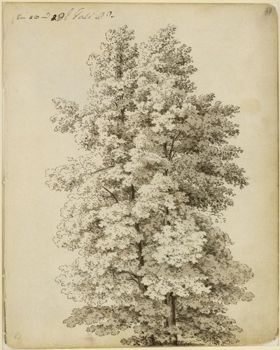 Grupo de árvores de Caspar David Friedrich