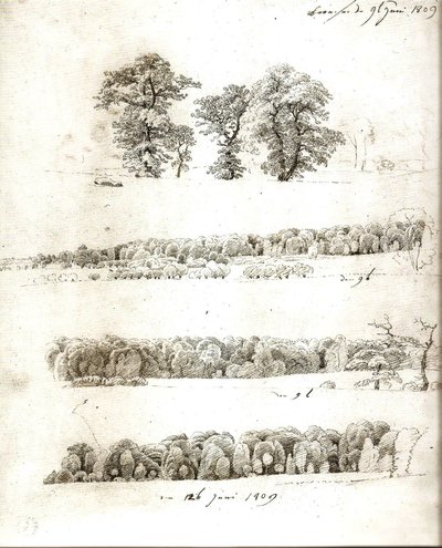 Estudos de árvores 1809 de Caspar David Friedrich