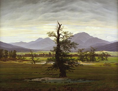 Árvore solitária de Caspar David Friedrich