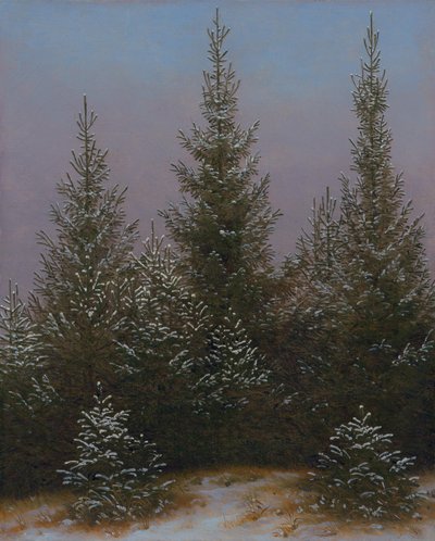 Bosque denso de abetos na neve (Da Charneca de Dresden I) de Caspar David Friedrich