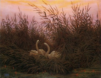Alemão: Schwäne im Schilf beim ersten Morgenrot Cisnes nos juncos ao amanhecer de Caspar David Friedrich