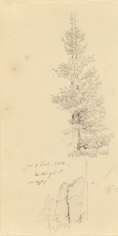 Alemão: Studie mit Fichten und Felsen Estudo de abetos e uma rocha de Caspar David Friedrich