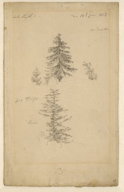 Alemão: Zwei Tannenstudien Dois estudos sobre abetos de Caspar David Friedrich