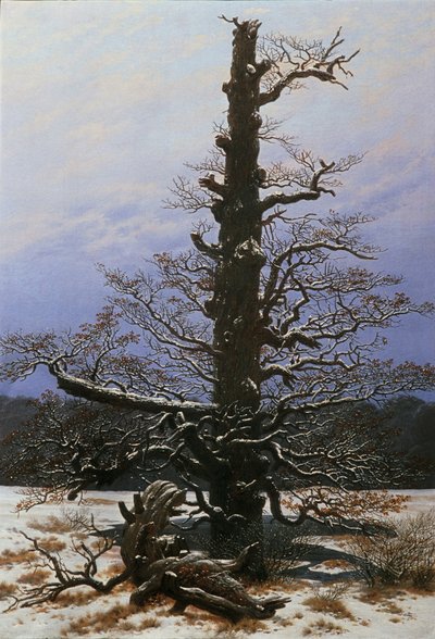Carvalho na neve de Caspar David Friedrich