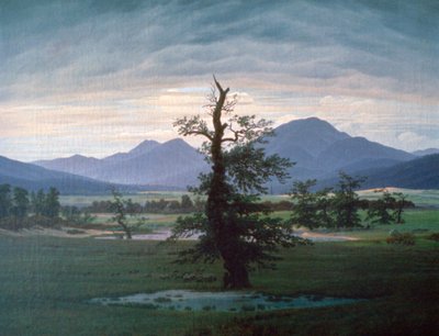 A árvore solitária, 1823 de Caspar David Friedrich