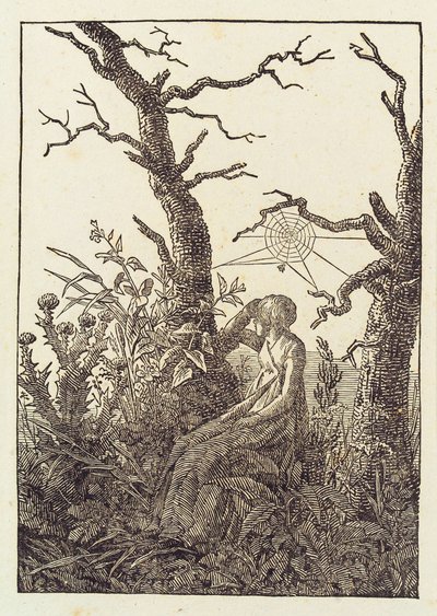 A mulher com a teia de aranha de Caspar David Friedrich