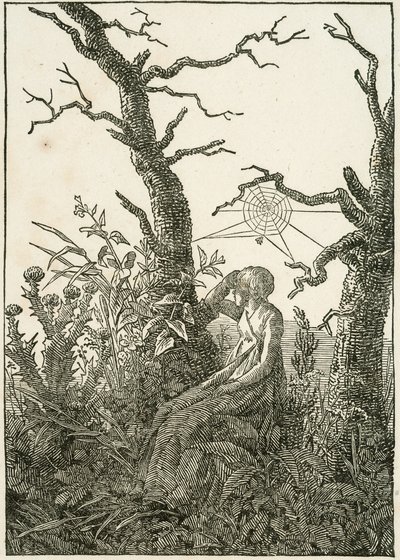 Mulher com teia de aranha entre árvores nuas de Caspar David Friedrich