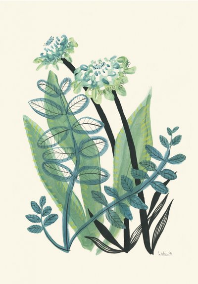 Plantas de um verde exuberante de Catalina Somolinos