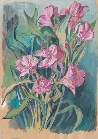 Flores de um rosa vibrante de Catalina Somolinos