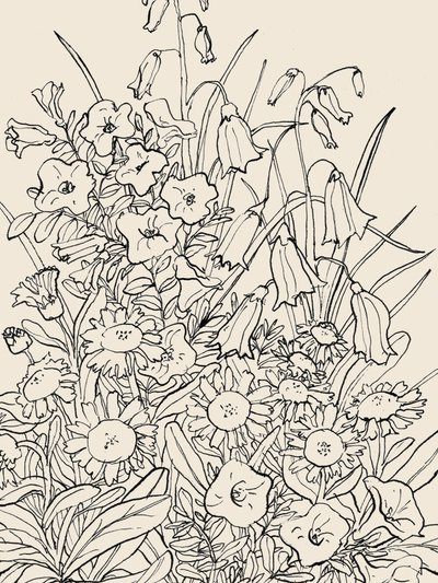 Flores silvestres de Catalina Somolinos