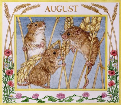 Agosto (wc no papel) de Catherine Bradbury