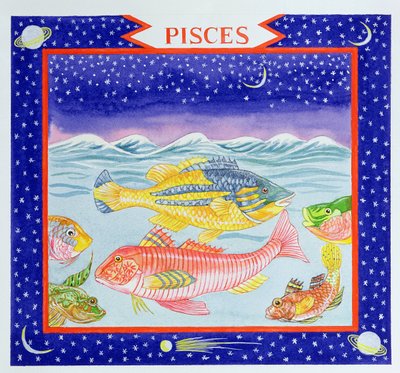 Peixes (wc no papel) de Catherine Bradbury