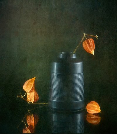 Lanternas e vaso de outono de Catherine Wang