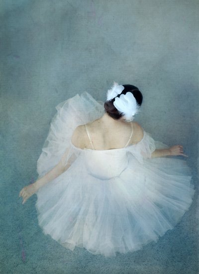 A elegante bailarina cisne de Catherine Wang