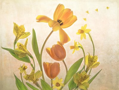 Flores da Primavera Dourada de Catherine Wang