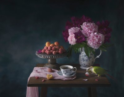 Guloseima de Mesa da Parrot de Catherine Wang