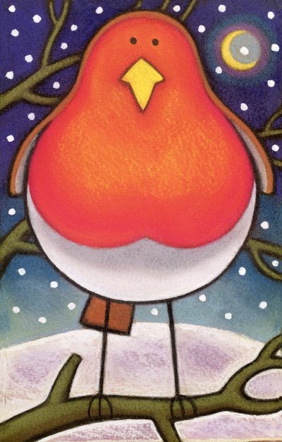 Robin de Natal, 1997 de Cathy Baxter
