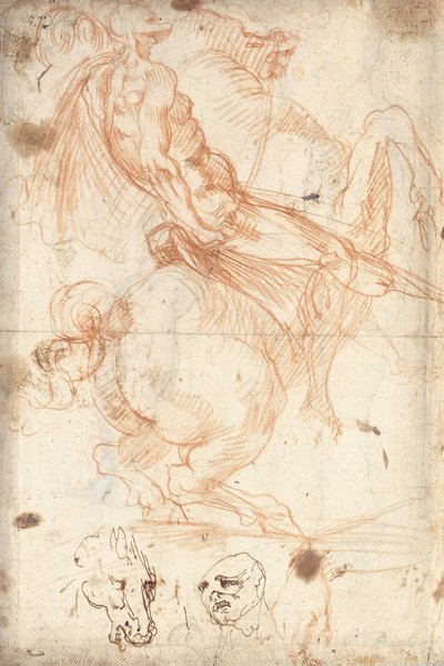 Estudo Equestre de Cavalier d’Arpino