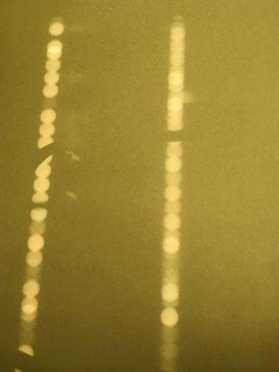 Composição - Luz, 2019 (foto) de Cécile Jamet
