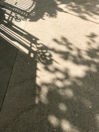 Composição - Sombras, 2019 (foto) de Cécile Jamet
