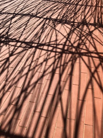 Composição - Sombras, 2021 (foto) de Cécile Jamet