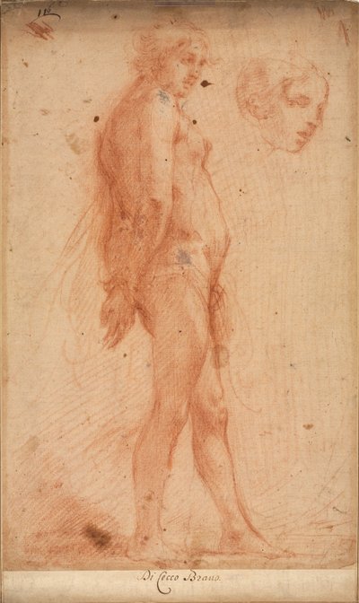 Estudo de um nu masculino em pé, com um estudo da cabeça em três quartos, c. 1640 de Cecco Bravo