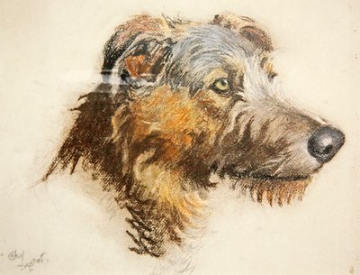 Um cão de caça escocês (pastel sobre papel tingido) de Cecil Charles Windsor Aldin