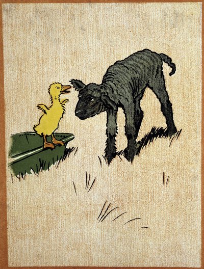 Cordeiro preto e patinho - desenho de Aldin de Cecil Charles Windsor Aldin