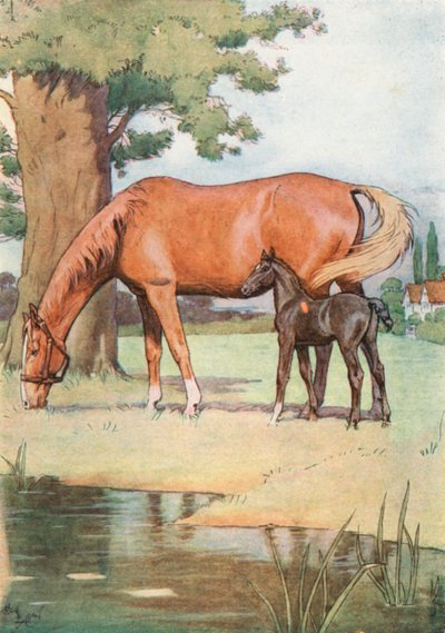 O primeiro lugar que eu posso bem Lembre-se, foi um grande prado agradável com uma lagoa de água clara nele de Cecil Charles Windsor Aldin