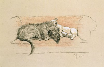 Wolfhound e Bull Terrier Adormecidos num Sofá (pastel sobre papel) de Cecil Charles Windsor Aldin