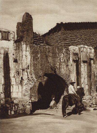 México: Oaxaca, Tuberia espanola (foto p/b) de Cecile Seler Sachs