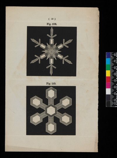 Cristais de neve de Cecilia Glaisher