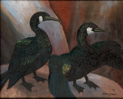 Corvos-marinhos verdes de Cedric Morris