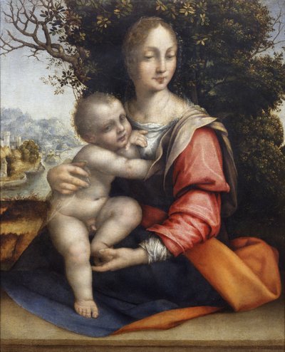 Madonna e Criança (Nossa Senhora da Árvore) de Cesare da Sesto