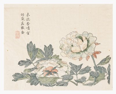 Jardim de Sementes de Mostarda de Chang Chao